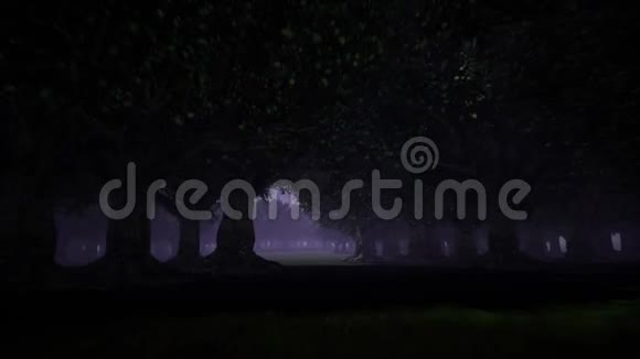 可怕的黑暗森林在树林里过夜雾状森林夏季童话森林夜空景色背景视频的预览图