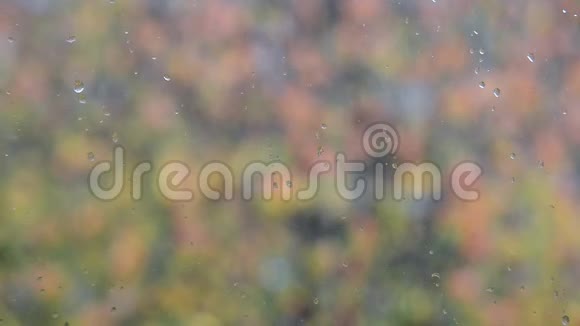 窗玻璃上滴着水滴秋天的叶子模糊了视频的预览图