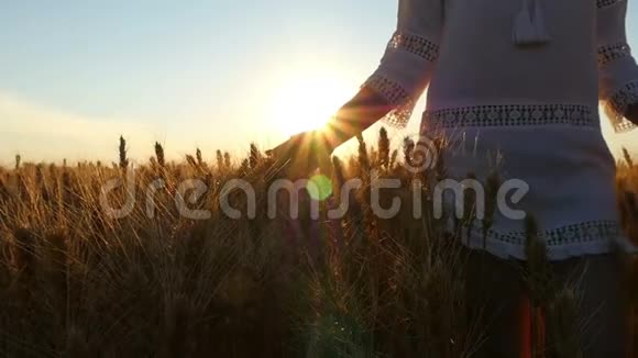 一个穿着白色连衣裙的女孩走过一片麦田她的手在抚摸着成熟的金色小麦小穗视频的预览图
