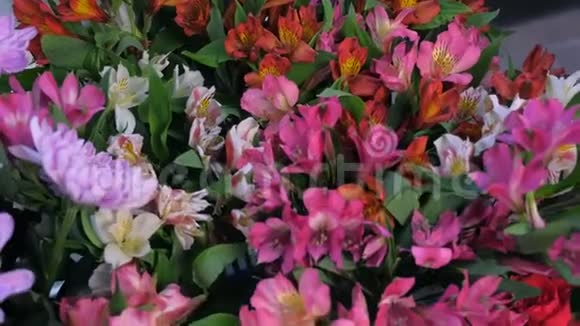 美丽的各种花在花瓶在花店出售特写视频的预览图
