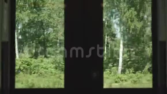 从动人的雨中看到茂密的森林慢镜头视频的预览图