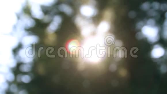 阳光透过树木的叶子闪闪发光自然模糊的背景自然抽象的背景自然绿色的树视频的预览图