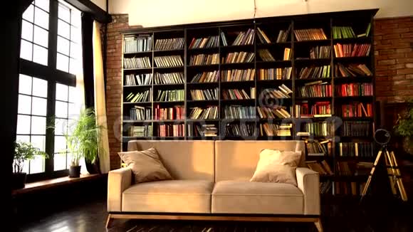 现代极简主义客厅的内部有舒适的米色沙发视频的预览图