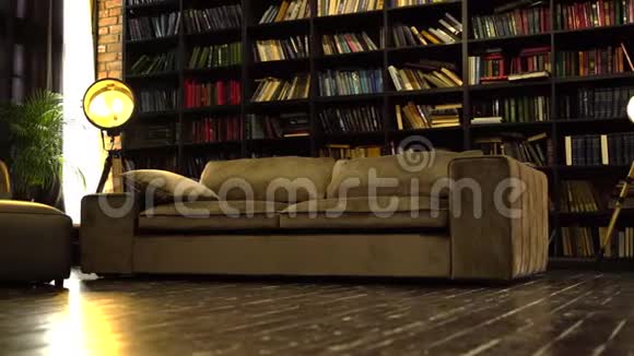 内部有图书馆漂亮的绒面沙发和木制地板视频的预览图