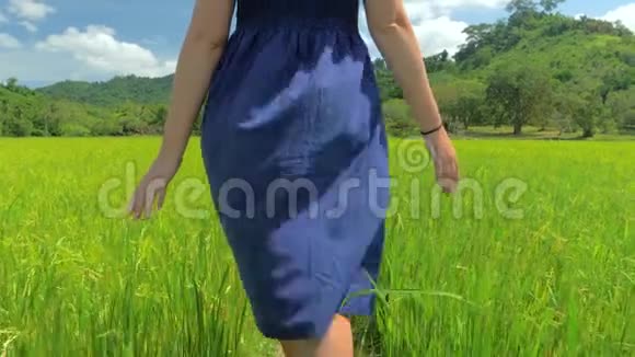 4Kstealam菲律宾ElNido穿着蓝色连衣裙的年轻女孩沿着稻田散步的背影视频的预览图