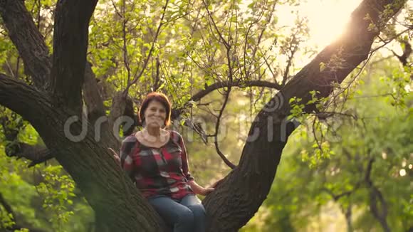 一棵树上的老女人视频的预览图