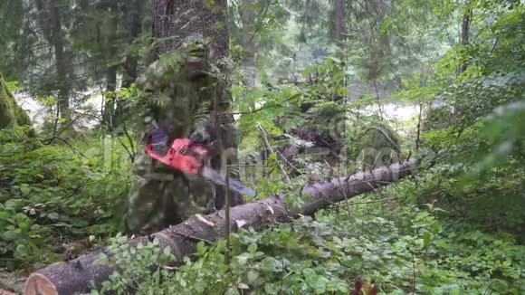 人砍树电锯视频的预览图