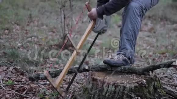 一个人在锯一个小树营地视频的预览图