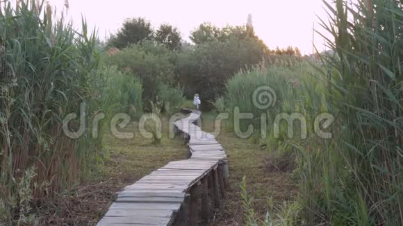 穿着白衣服的小姑娘沿着木桥在绿草如茵的草地上奔跑视频的预览图