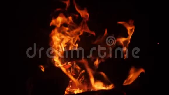 传统比萨饼烤炉中燃烧木原木的特写慢动作视频视频的预览图