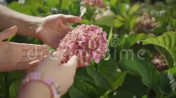 妈妈和女儿亲密的双手呵护着花园里的粉红色花朵欣赏着它的美丽幸福家庭视频的预览图