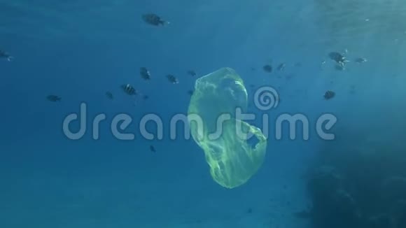 缓慢的运动黄色的塑料袋慢慢地漂移附近的热带鱼学校附近的珊瑚礁在蓝色的水在阳光下视频的预览图