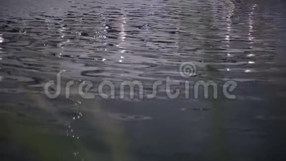 湖中的小浪视频的预览图