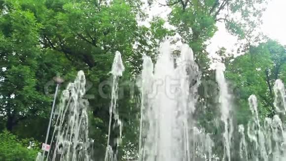 城市公园里喷泉的跑道在跳动视频的预览图