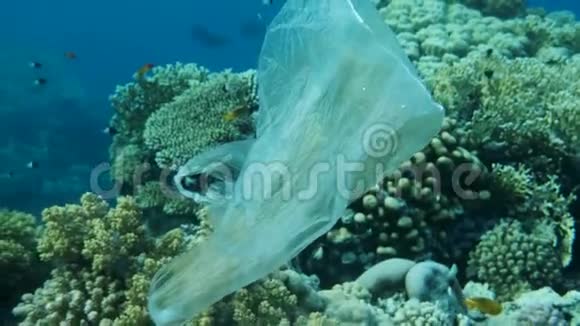 慢动作塑料袋漂浮在美丽的珊瑚礁旁边热带鱼在蓝色的水中塑料污染视频的预览图