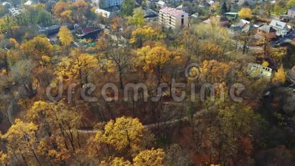 市中心的小公园或广场飞过郊外的秋林秋季公园视频的预览图