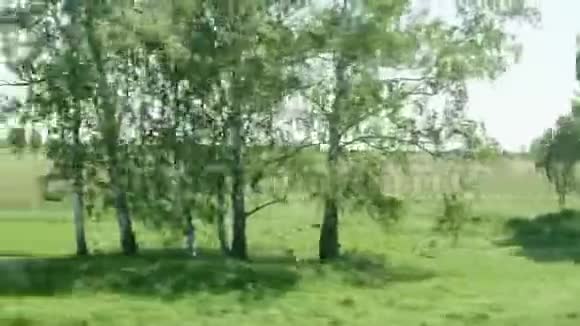 从火车的窗口看田野珍稀树木和乡村道路下午晴朗视频的预览图