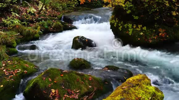 美丽的景色晶莹剔透的依拉西山溪流流过覆盖着绿色苔藓的岩石视频的预览图