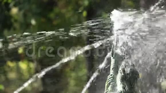 喷泉水慢运动视频的预览图