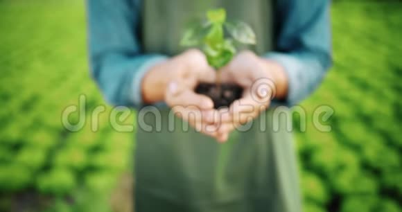 手里拿着植物的男人视频的预览图