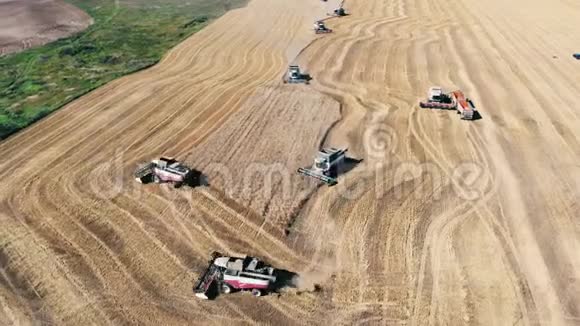 工业机器在农场工作耕种庄稼视频的预览图