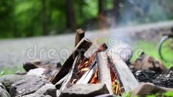 篝火火焰的宿营火烧柴火的声音户外美丽的篝火视频的预览图