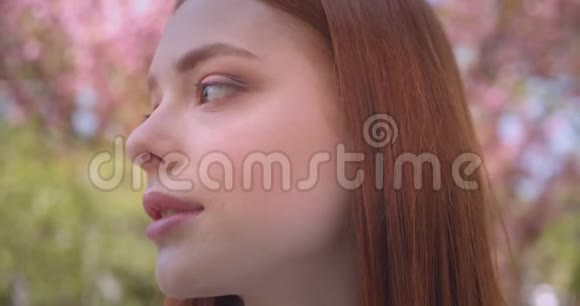迷人的姜女模特的特写肖像在粉红色的花圃里梦幻般地漂亮地进入镜头视频的预览图