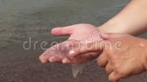 在海边和水母握手视频的预览图