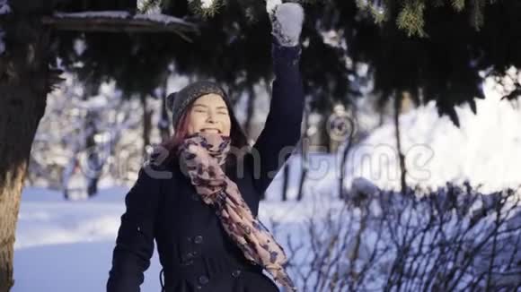 快乐的年轻女子把雪树的树枝拉到头上冬季体育假日关系爱情圣诞节视频的预览图