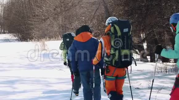 有经验的登山者背着背包沿着干燥的树木在雪地上行走视频的预览图