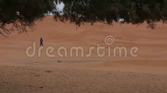 沙漠中的等待者视频的预览图