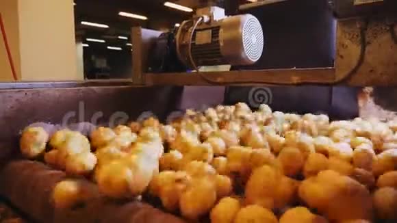 工厂车间特写按生产线分类的马铃薯视频的预览图