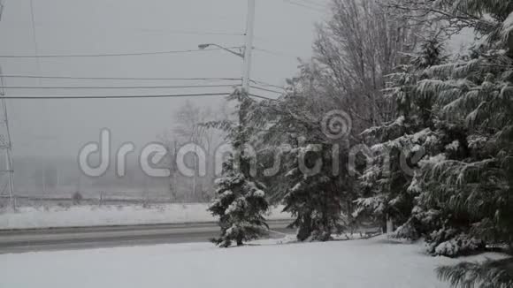 白雪覆盖着雪花飘落的树间小径视频的预览图