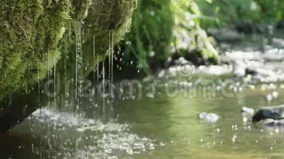 泉水瀑布从苔藓中缓慢移动视频的预览图