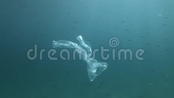 塑料污染使用蓝色袋子和沙冶学校在阳光下水下游泳视频的预览图