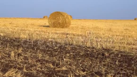 大型农业领域大量收获的干草卷成捆4K视频的预览图