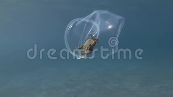 塑料污染螃蟹在一个塑料杯里慢慢地漂浮在阳光下的蓝色水面下视频的预览图
