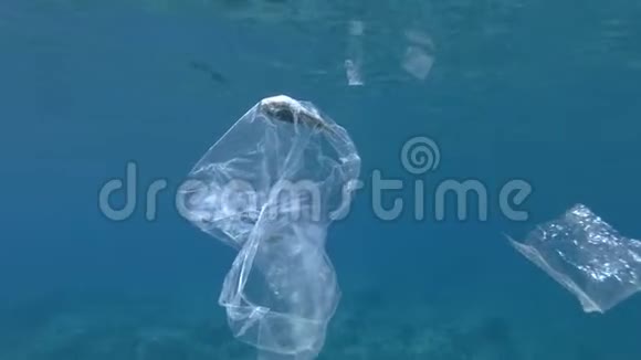 塑料污染泡芙鱼死在塑料袋里废弃的透明塑料袋里面漂浮着死鱼视频的预览图