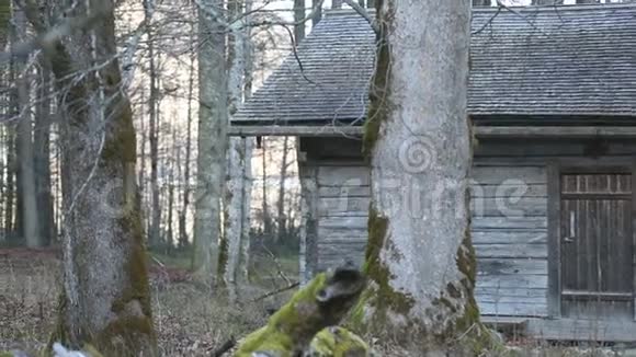 森林里的小屋视频的预览图
