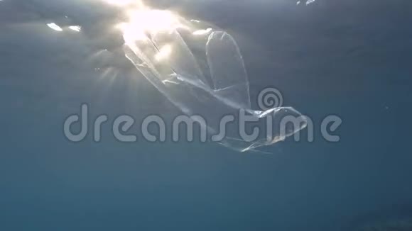 塑料污染丢弃的塑料手套在夕阳下慢慢地漂浮在蓝色的水面下视频的预览图
