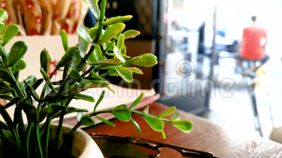 咖啡馆里的塑料植物装饰视频的预览图