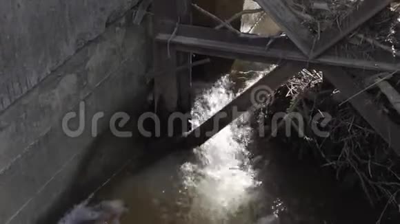里维拉水从垃圾桶里渗出视频的预览图