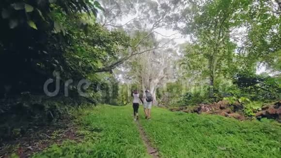 年轻的女人和男人带着背包在热带雨林的小径上行走游客夫妇在绿色丛林森林里散步生态视频的预览图