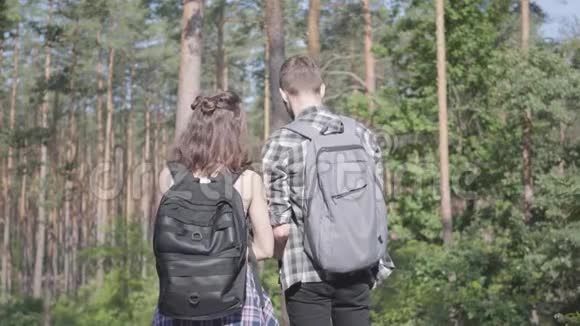 男人和年轻女朋友在森林里散步的肖像旅行者与户外背包的配对休闲夫妇视频的预览图
