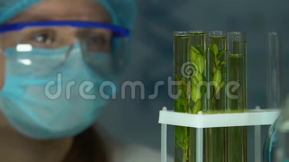生物化学家检查试管中的植物样本农药的影响农业视频的预览图