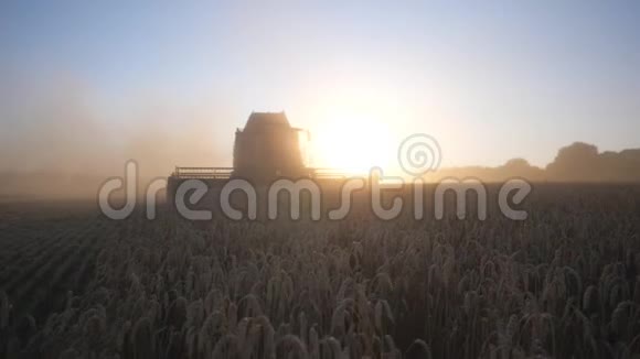 现代收割机在日落时收割小麦结合骑马通过农村扦插大麦概念视频的预览图