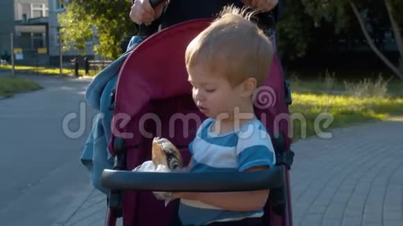 小男孩坐在婴儿车里吃面包视频的预览图