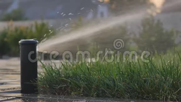 夏季园区草花自动浇水喷雾器旋转和许多小水滴视频的预览图