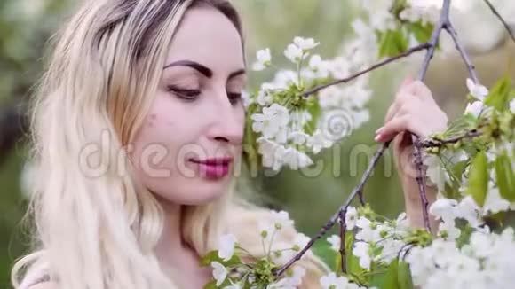 金发在春天嗅着开花的树视频的预览图