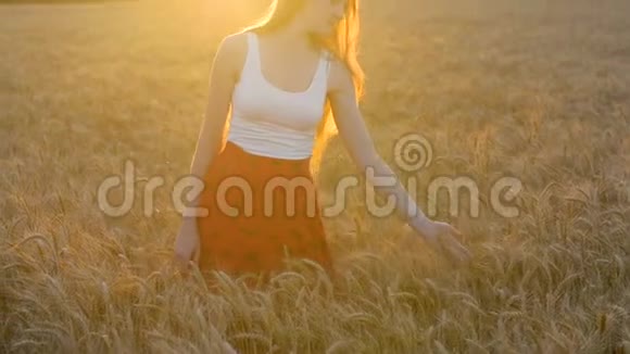美丽的长发年轻女子在麦穗中旋转夕阳西下启示视频的预览图